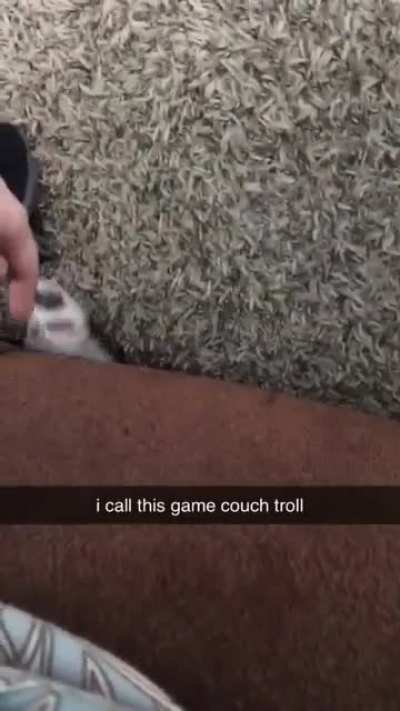 Rocket likes to play &ldquo;Couch Troll.&rdquo; Any other noodles play this game?