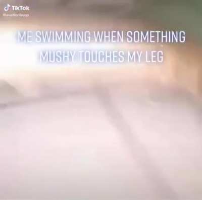 Taking flight