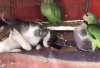 Maybe Maybe Maybe