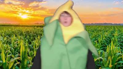 Better buy the corn