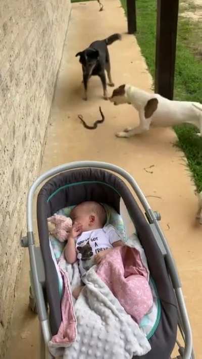 What could go wrong