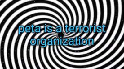 terrorist organization list