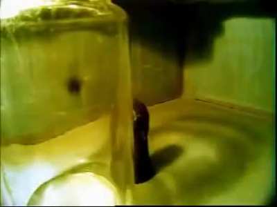cursed_hell