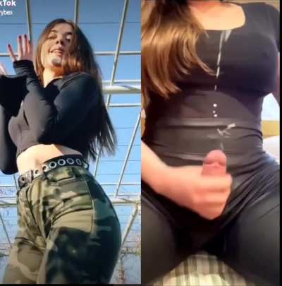 Torybex vs Trans