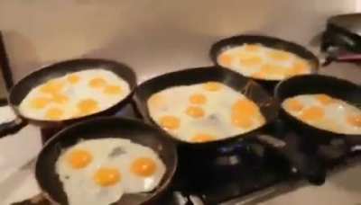 egg
