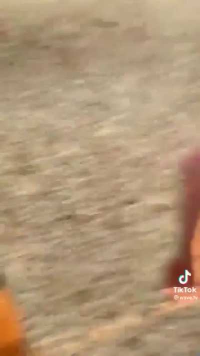 Little bit of fun at the playground