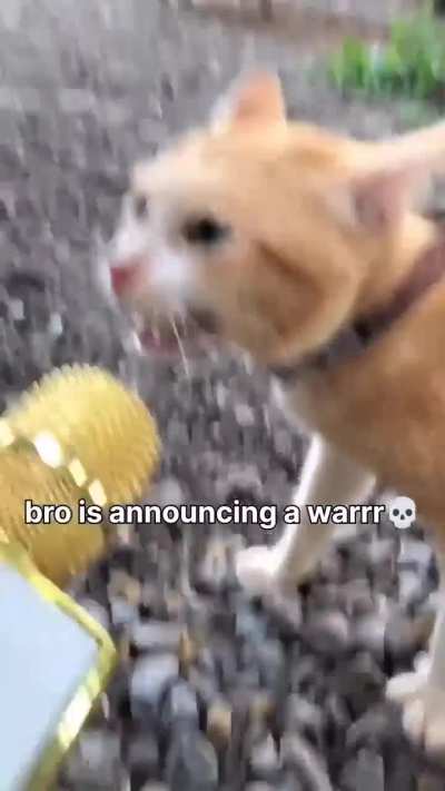 Wunk War Three is coming&hellip;
