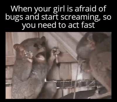 Time to save my girl