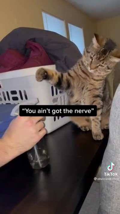 Betrayal