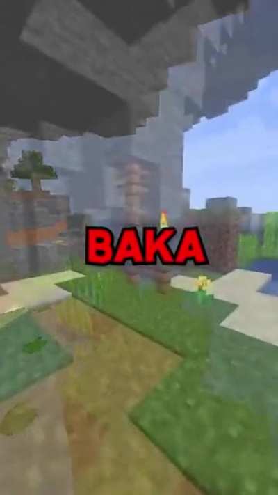 OwO