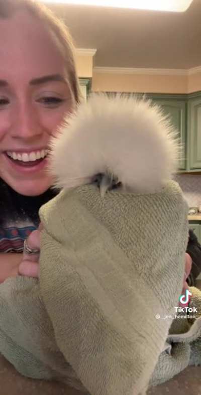 A very happy chicken