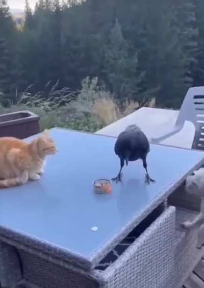 There&rsquo;s so much going on here
