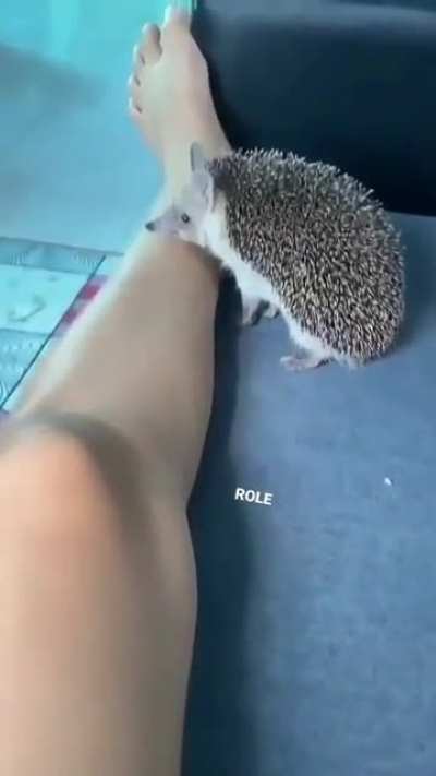 how cute