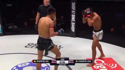 Superlek entering the Matrix