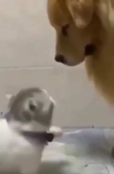 :(