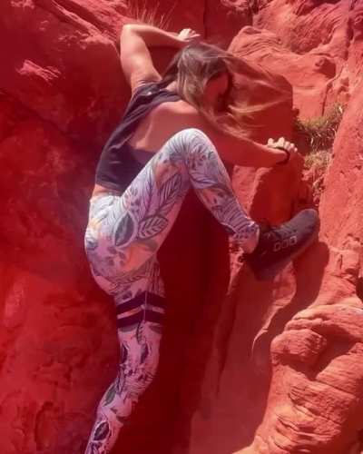 Tenille Dashwood