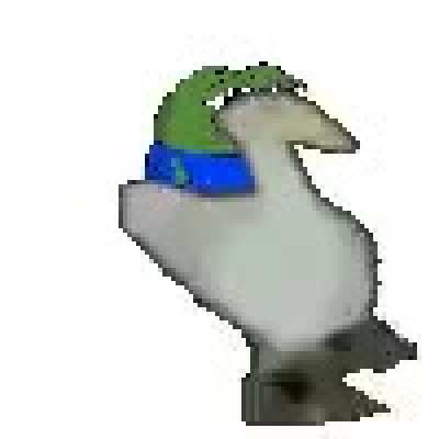 g00Se *HoNk* *hOnK*