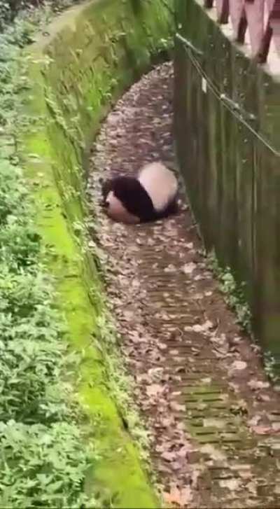 👍