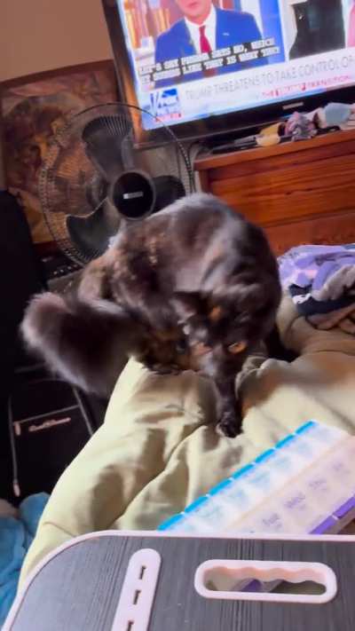 I can fly