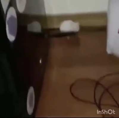Improvise, adapt, overcome