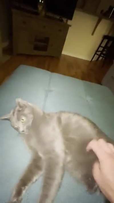 Scritchy Stump
