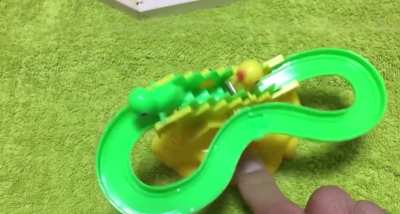 duck