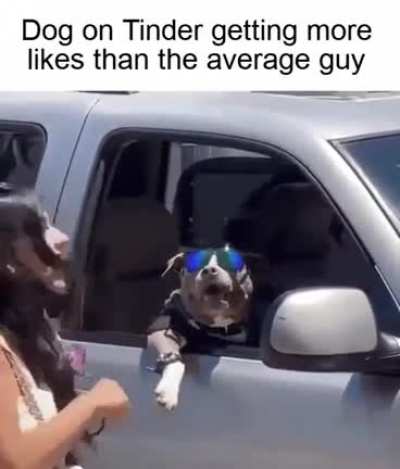 Legend Dogs!