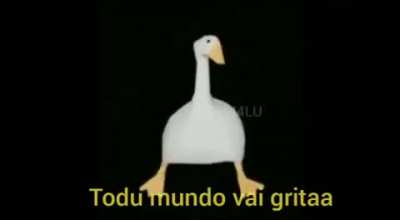 Ganso de Sapucaia est&aacute; de volta!