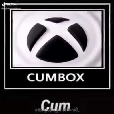 Xd