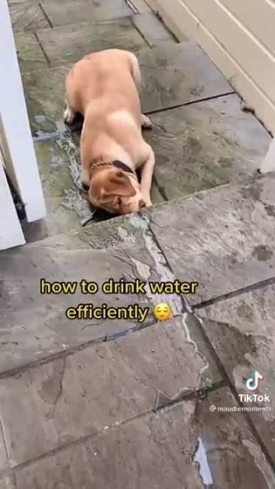 How to drink water efficiently