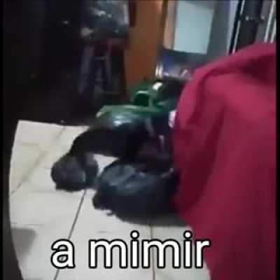A MIMIR