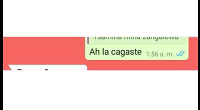 la cagaste :v