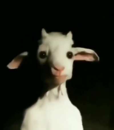 He watches