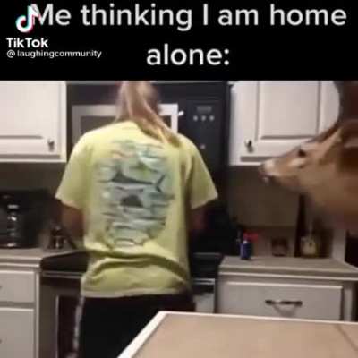She's not home alone anymore