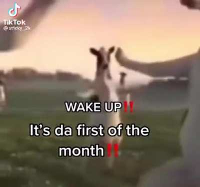 real ones get it