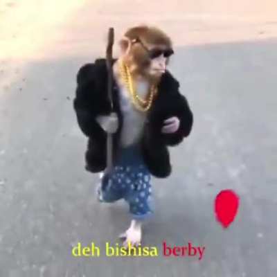 Best monke