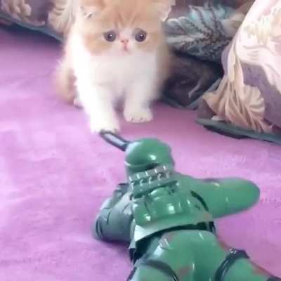 War is hell