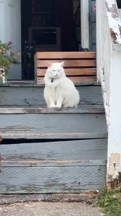 Getting tons of big stretch&rsquo;s from not my cats!