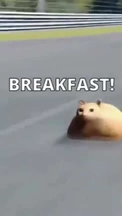 I am SPEED 