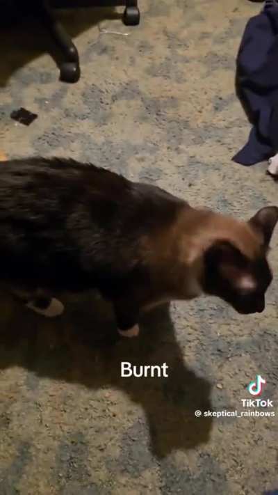 Color changing wunk
