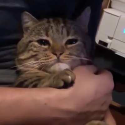 who broke his heart