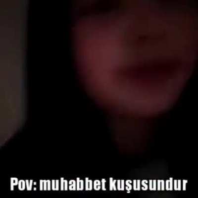Muhabbet kuşları d&uuml;nyayı nasıl g&ouml;r&uuml;yor.mp4