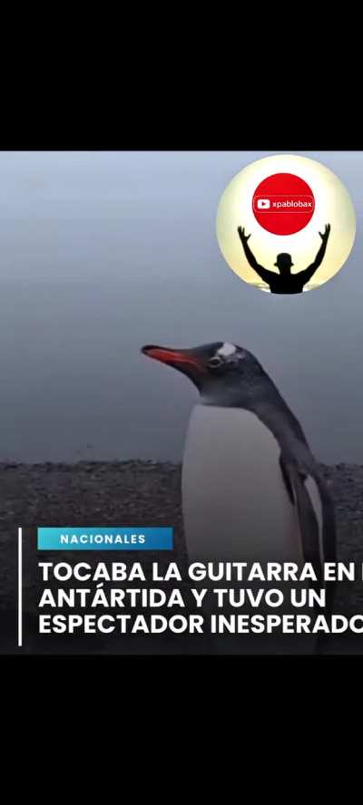 TOCABA LA GUITARRA EN LA ANTÁRTIDA ARGENTINA Y APARECE ESPECTADOR INESPERADO