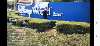 Woman tears down "Pedo World" sign at rally today at Disney World