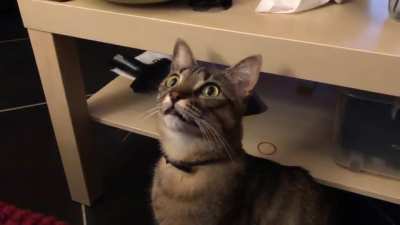 When the laser dot is on the ceiling