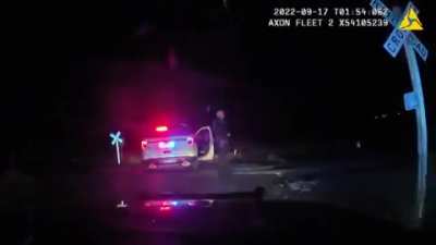 Platteville, Colorado &mdash; Stationary police cruiser struck by freight train.