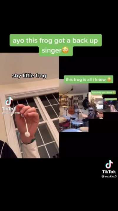 Little frog 💚