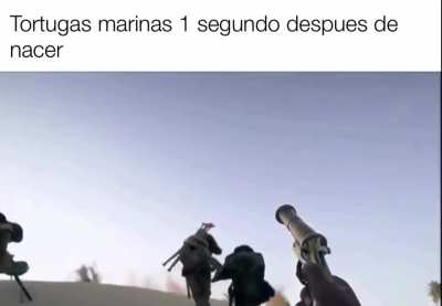 Juegazo