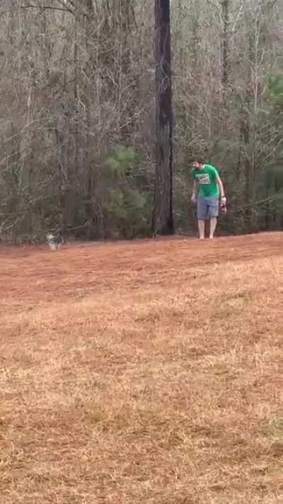 Never challenge a rooster