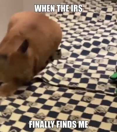 NOOOOOOO